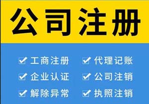 個(gè)人獨(dú)資企業(yè)與一人有限公司在納稅方面有什么差別